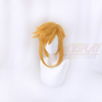 The Legend of Zelda Breath of the Wild Link Gloden Cosplay Wig
